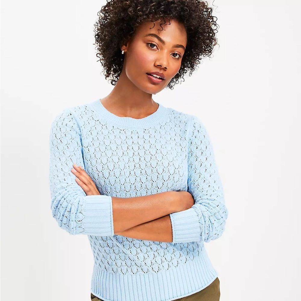 Loft Pointelle Sweater in Light Blue